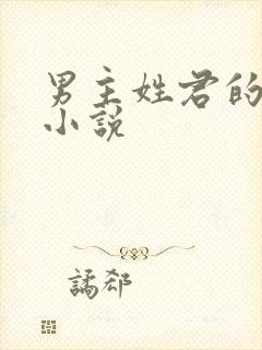 男主姓君的全部小说封面