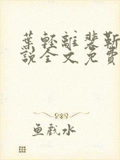 叶轻离裴靳墨小说全文免费阅读