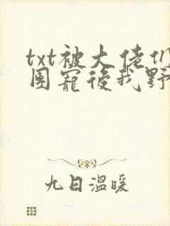 txt被大佬们团宠后我野翻了
