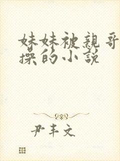 妹妹被亲哥哥强操的小说封面