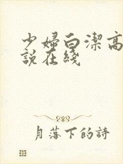 少妇白洁高义小说在线