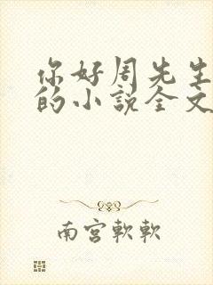 你好周先生夜蔓的小说全文免费阅读