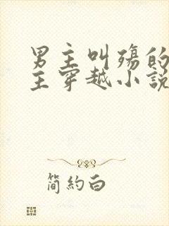 男主叫殇的,女主穿越小说