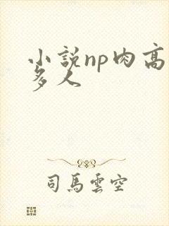 小说np肉高h多人封面
