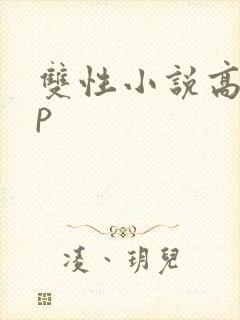 双性小说高hnp