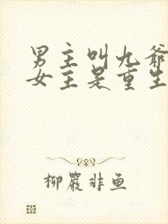 男主叫九爷的,女主是重生的小说