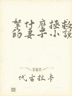 拿什么拯救你我的妻子小说在线阅读