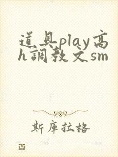 道具play高h调教文sm封面