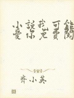 小说我可能不会爱你免费阅读