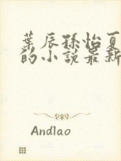 叶辰孙怡夏若雪的小说最新