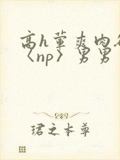 高h荤爽肉欲文〈np〉男男