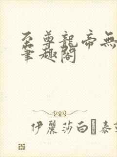 至尊龙帝无弹窗笔趣阁