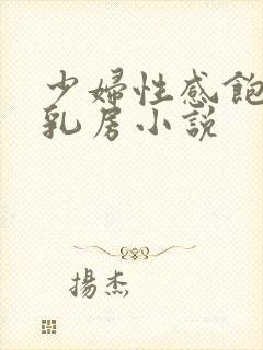 少妇性感饱满的乳房小说