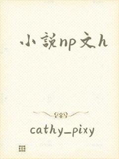 小说np文h
