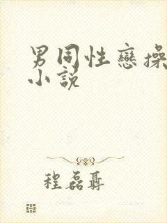 男同性恋操屁股小说封面