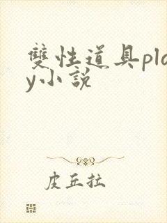 双性道具play小说