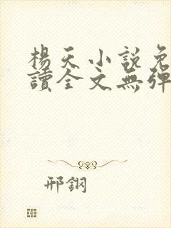 杨天小说免费阅读全文无弹窗