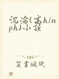 沉沦(高h/nph)小说