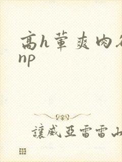 高h荤爽肉欲文np