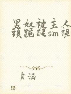 男奴被主人拽奶头跪爬sm视频