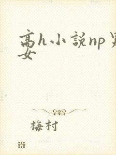 高h小说np男女