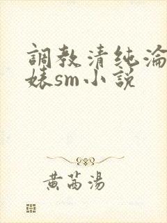 调教清纯沦为贱婊sm小说封面