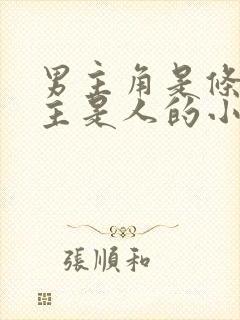 男主角是条龙女主是人的小说