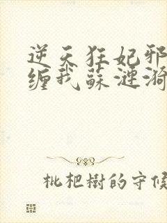 逆天狂妃邪王别缠我苏涟漪