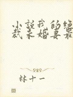 小说我的绝色总裁未婚妻最新章节