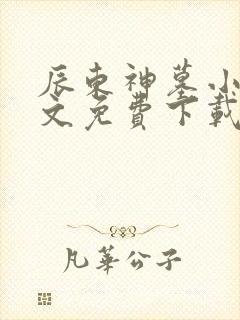 辰东神墓小说全文免费下载