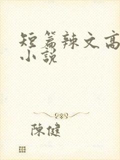 短篇辣文高h文小说
