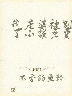 我老婆被别人操了小说免费阅读全文封面