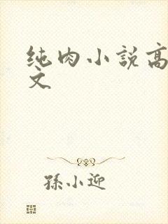 纯肉小说高h辣文封面