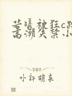 若曦被狂c躁到高潮失禁小说