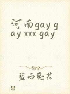 河南gay gay xxx gay
