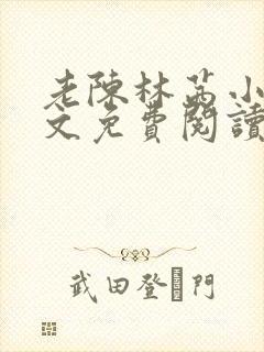 老陈林茜小说全文免费阅读