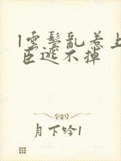 l云鬓乱惹上权臣逃不掉