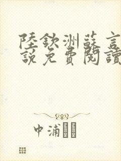 陆钦洲苏言星小说免费阅读最新章节封面