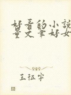 好看的小说高质量文笔好女生