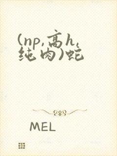 (np,高h,纯肉)蛇