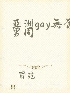 亚洲gay无套男同