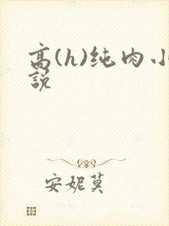高(h)纯肉小说