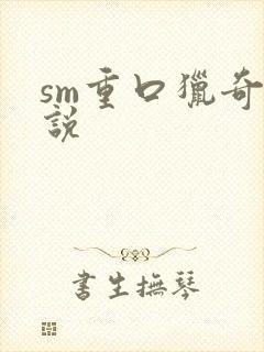 sm重口猎奇小说封面