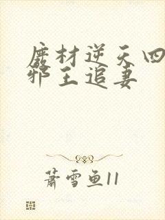 废材逆天四小姐邪王追妻封面