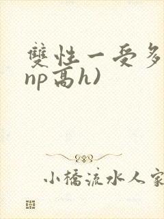 双性一受多攻(np高h)封面