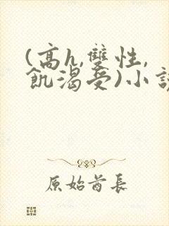 (高h,双性,饥渴受)小说