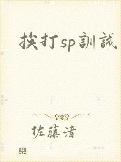 挨打sp训诫文封面