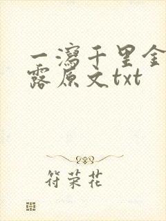 一泻千里金银花露原文txt