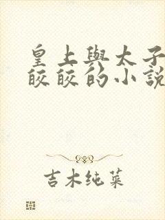 皇上与太子妃沈皎皎的小说免费