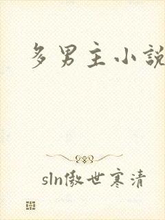 多男主小说h